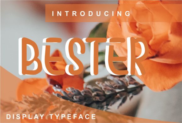 Bester: The Versatile Display Font for Modern Marketers