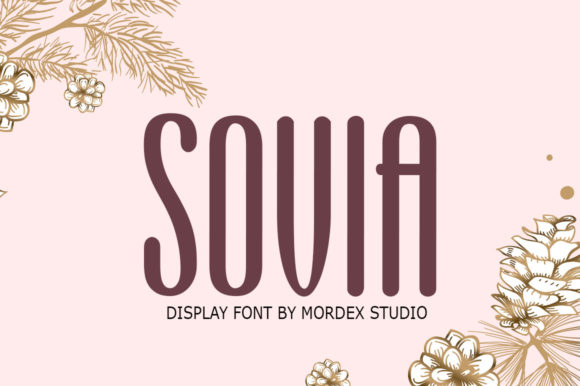 Boost Your Campaign with Sovia: A Fun, Handwritten Display Font